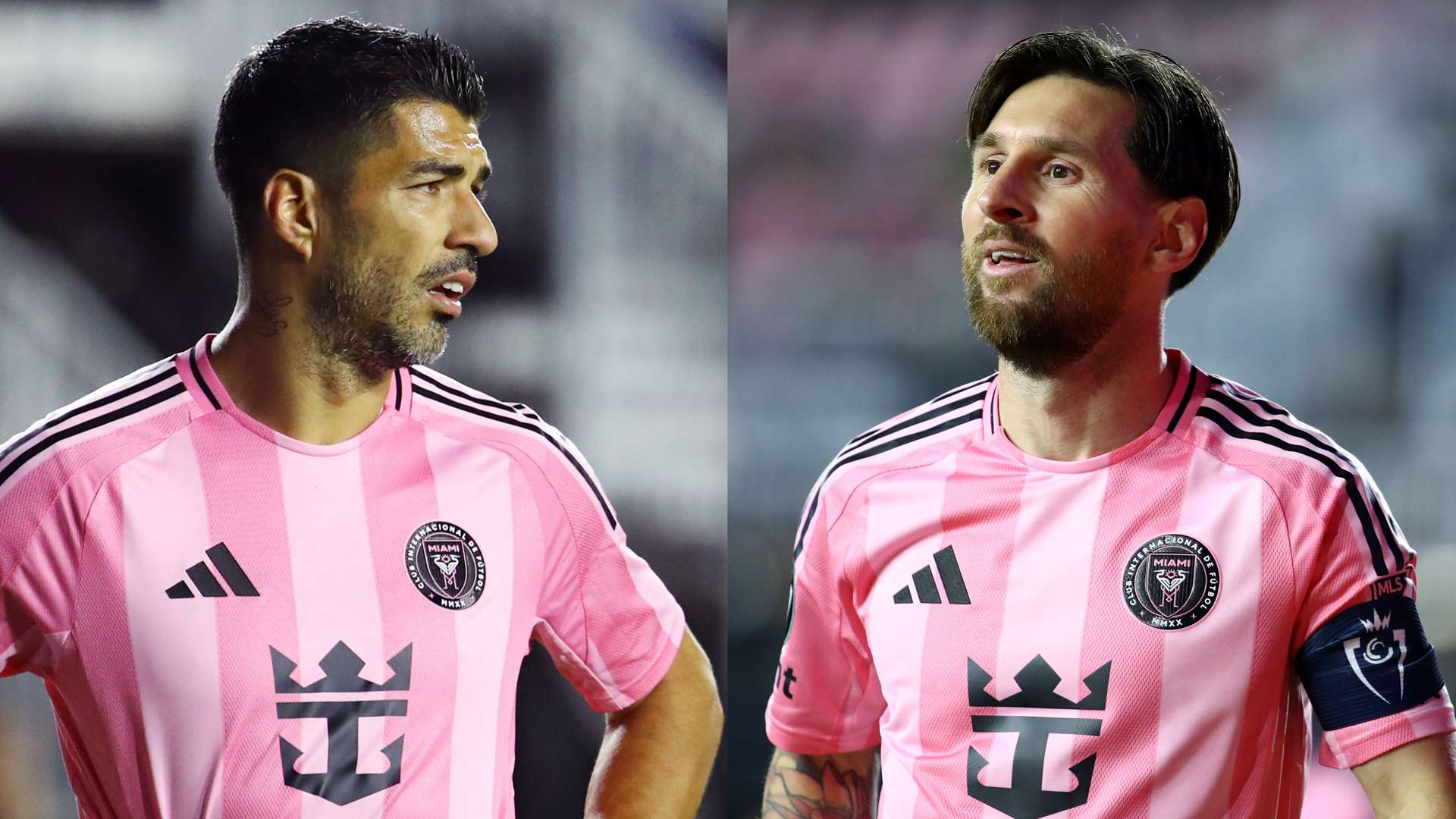 利的国家 利的国家