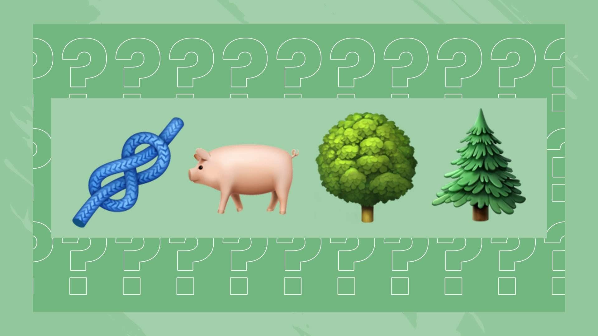 让猛龙成功 让猛龙成功