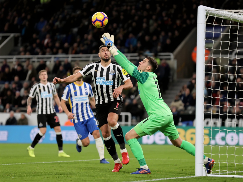 转让的可能 转让的可能